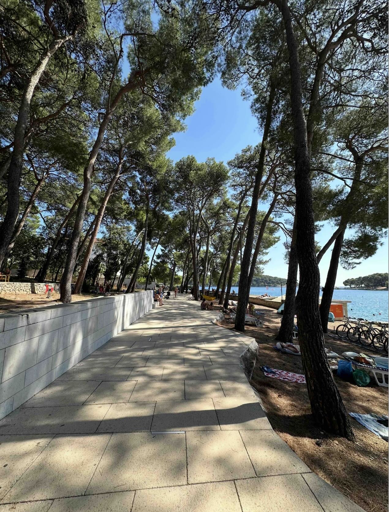 Čikat – promenáda v tieni borovíc