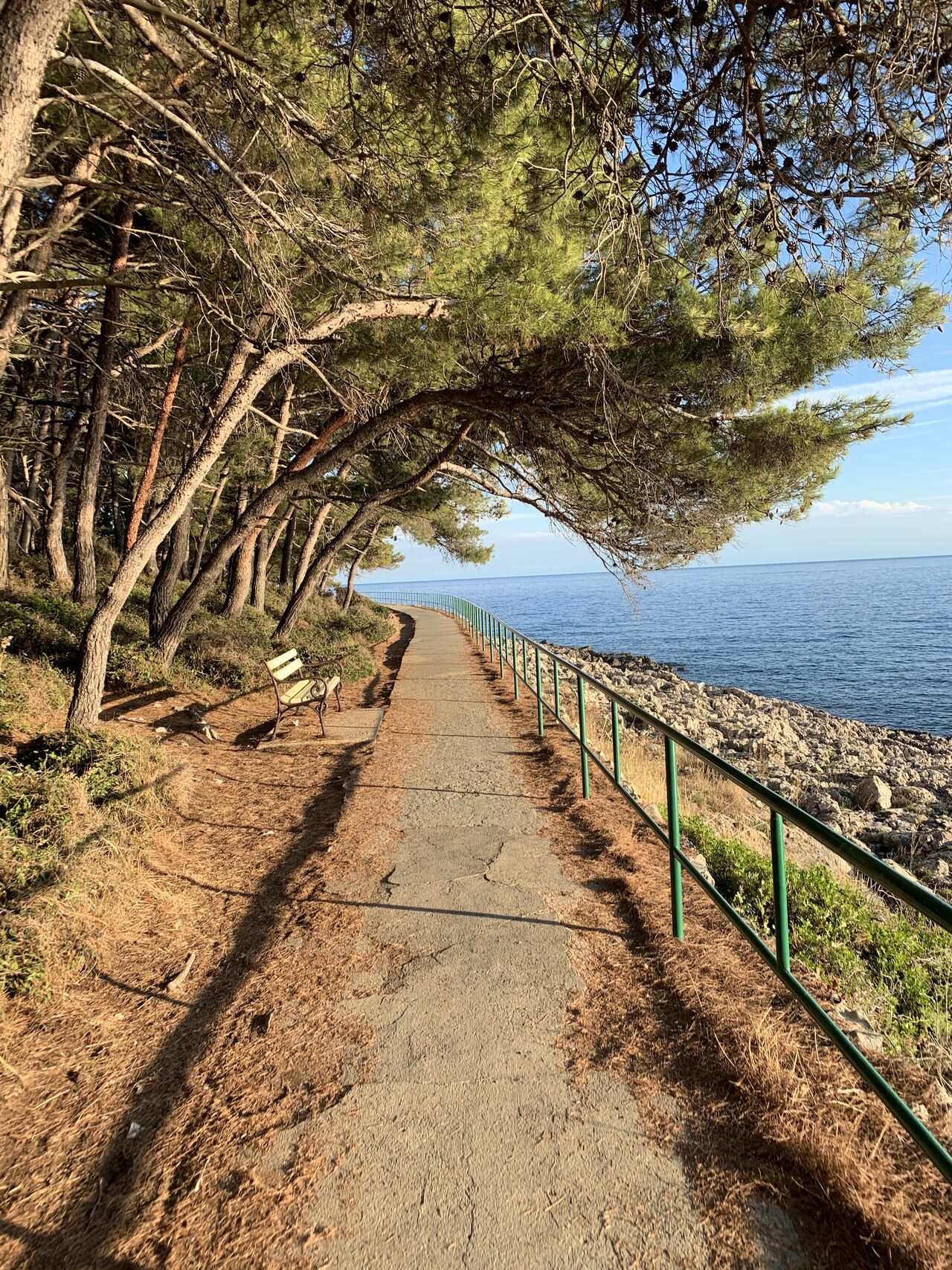 Chodník lemovaný borovicami popri pobreží ostrova Lošinj